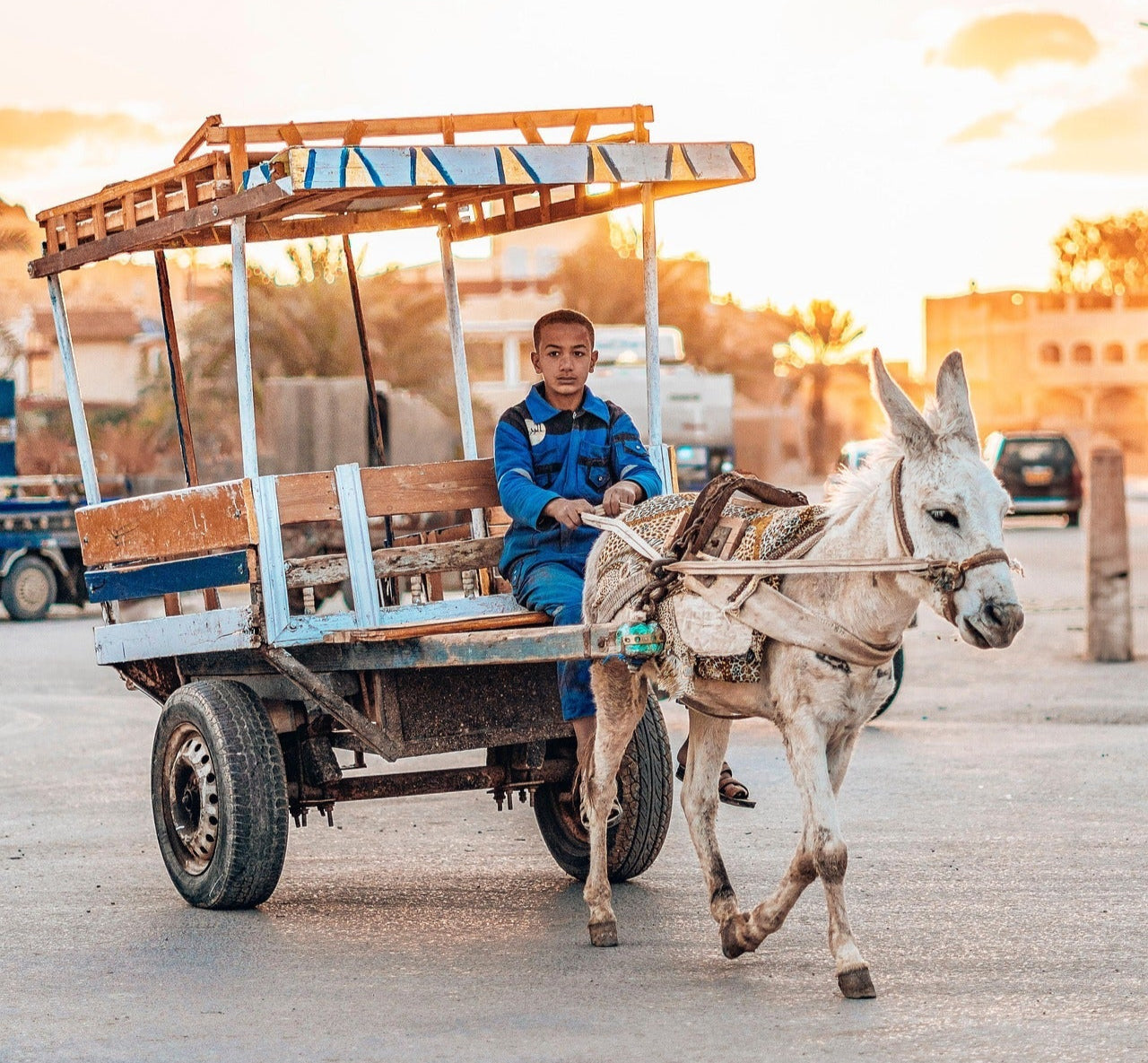 A young boy in Egypt — symbolising the cultural depth and human stories behind our MENA campaigns. / طفل مصري يعكس عمق الثقافة والمعاني الإنسانية في حملاتنا الإعلانية في منطقة الشرق الأوسط وشمال أفريقيا.