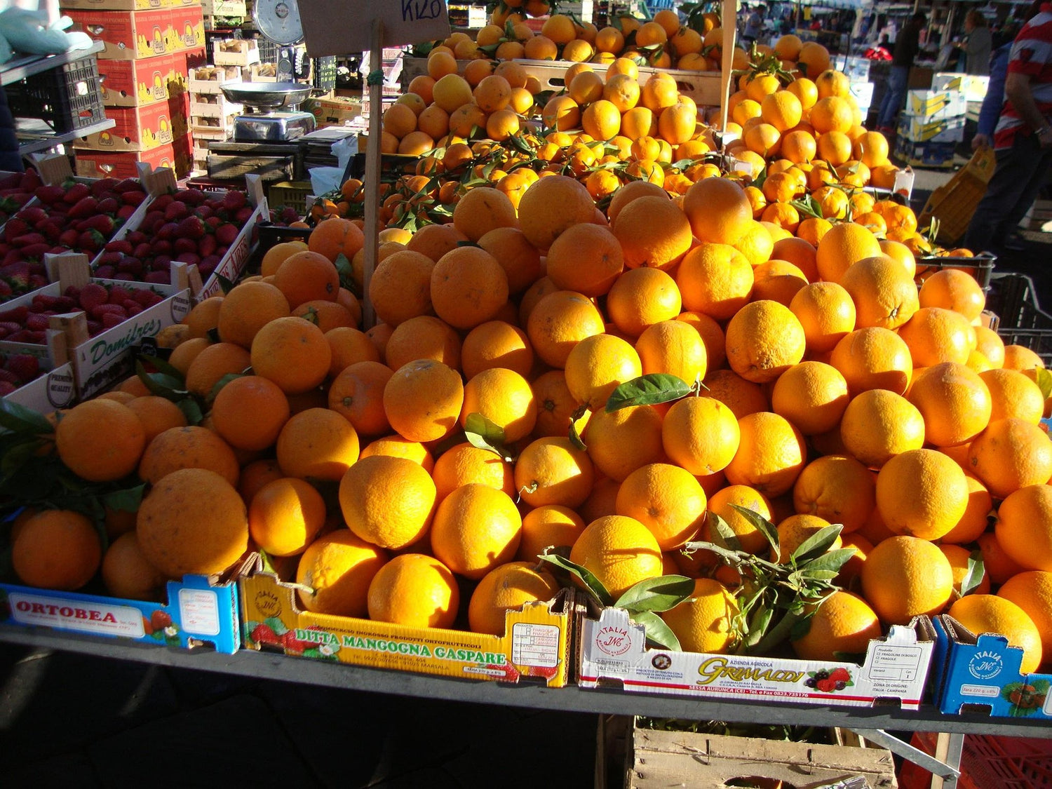 Arance rosse di Sicilia esposte in un mercato locale, simbolo dell’agricoltura etnea e dell’identità siciliana — perfette per contenuti promozionali legati al territorio.