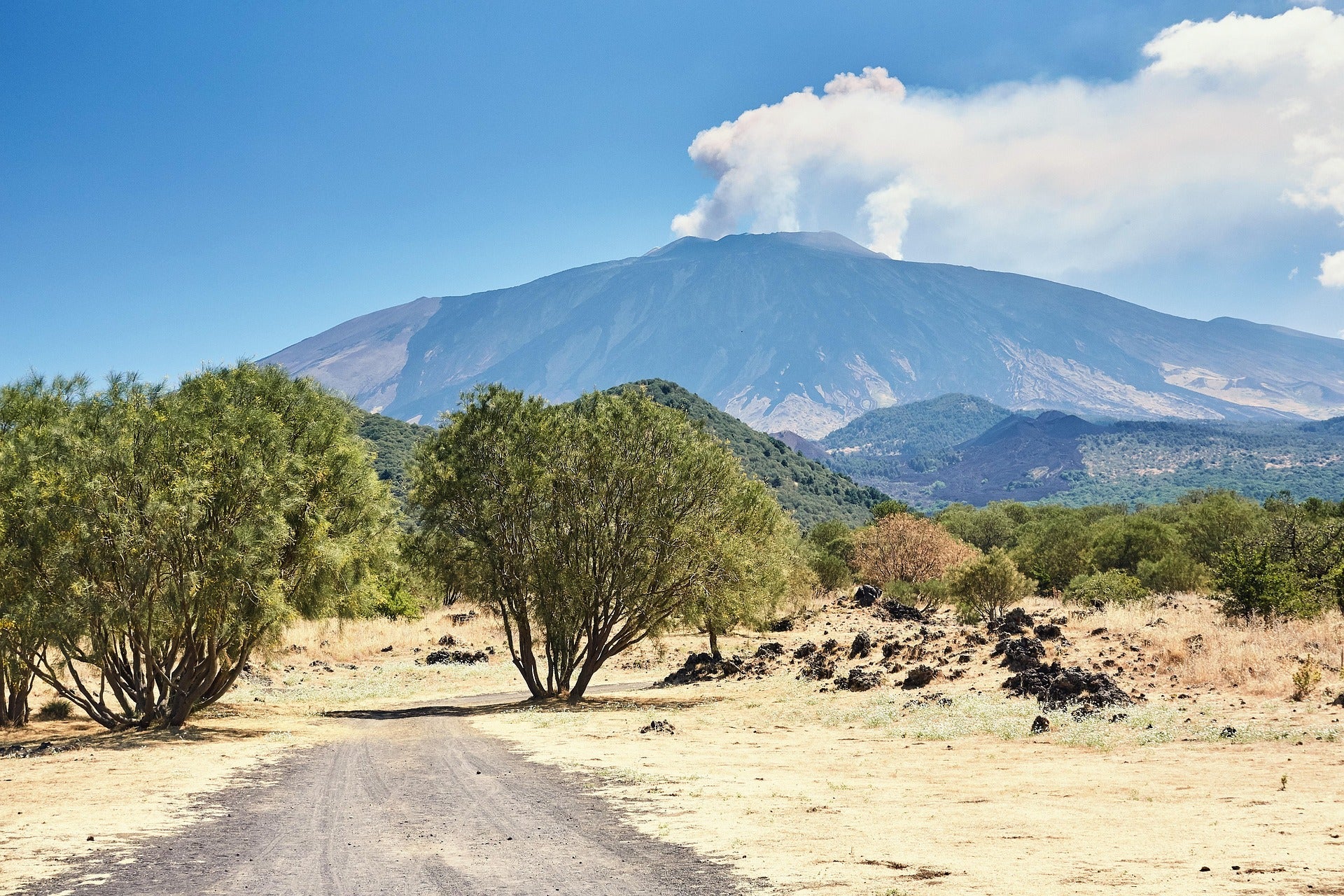 Vista panoramica del Monte Etna in Sicilia con vegetazione mediterranea, ideale per promozione locale e merchandising personalizzato a Catania.